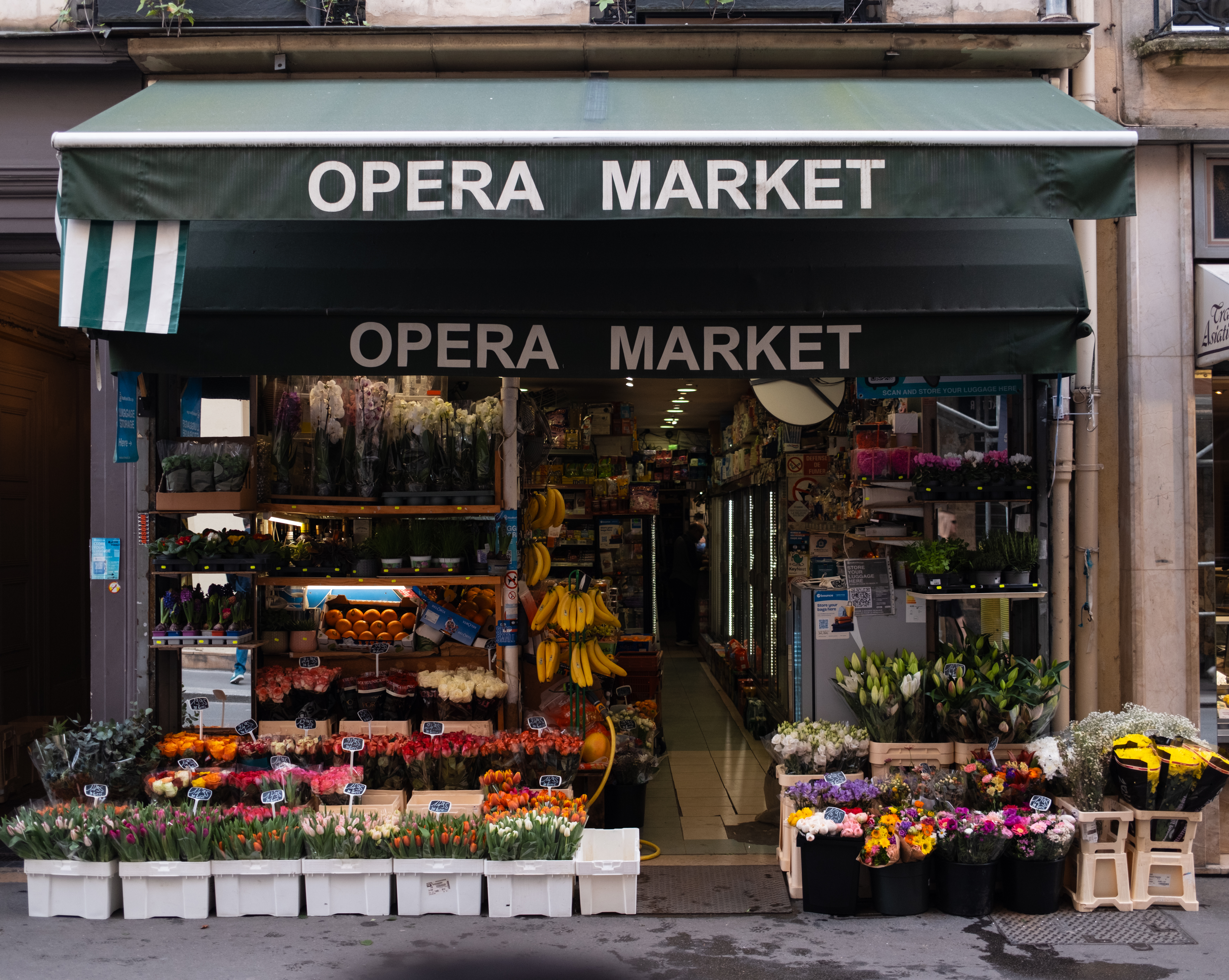 Opera Market, toutes saisons