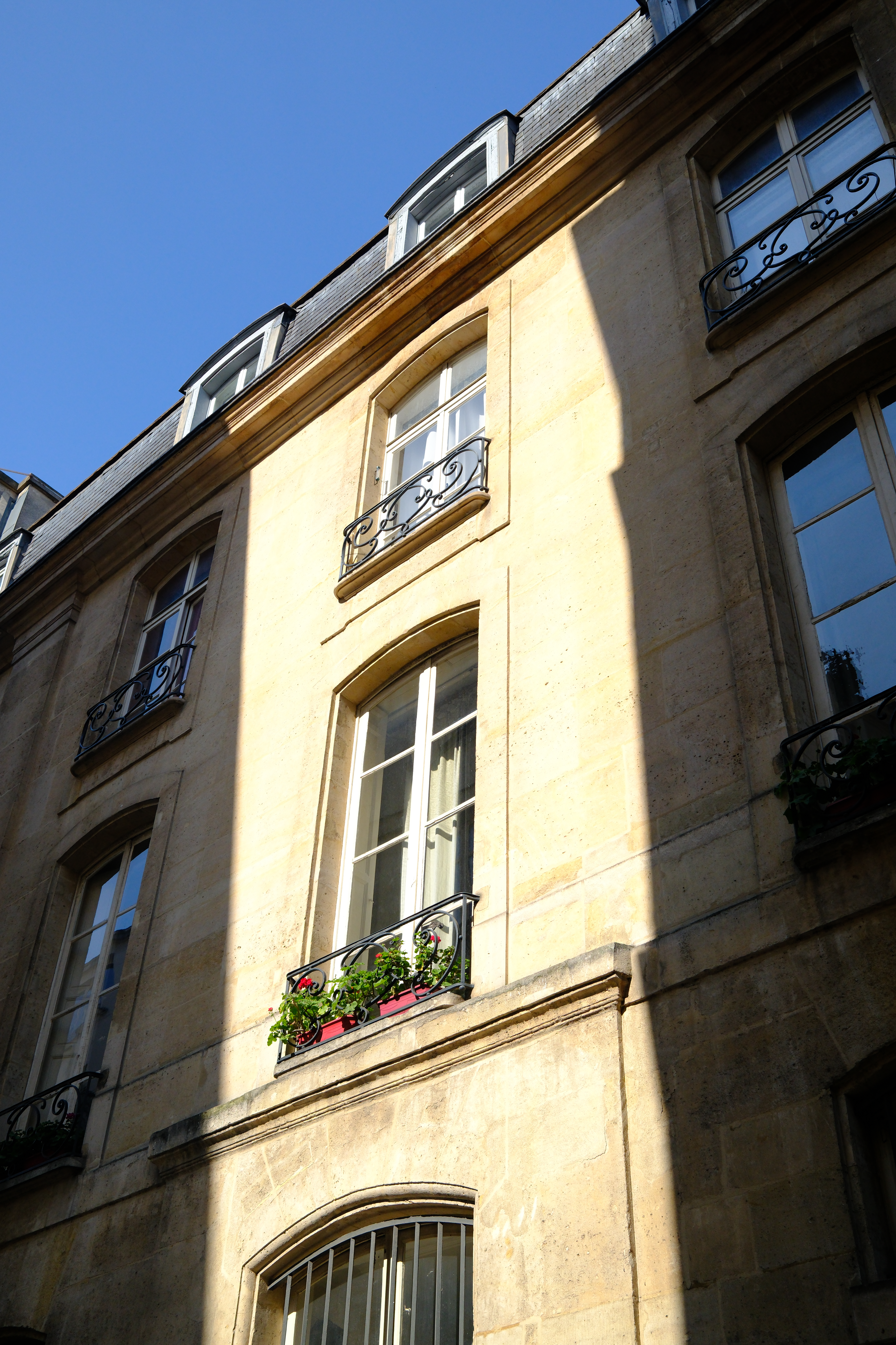 Géraniums, étage deux